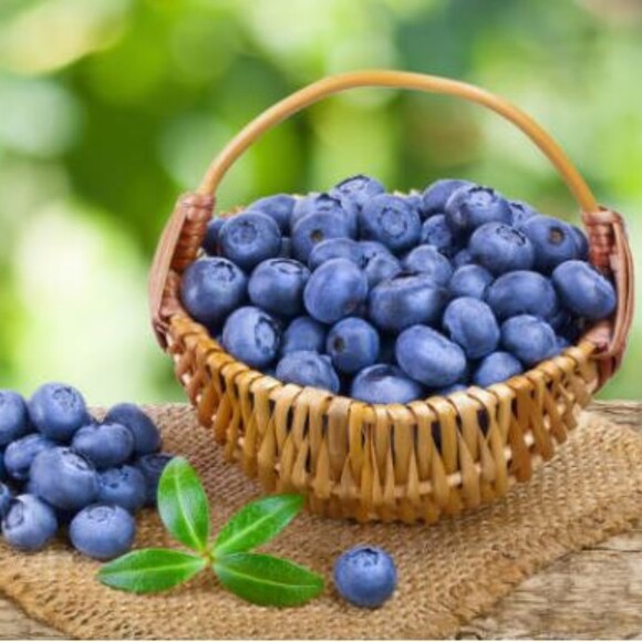 pickinberries88